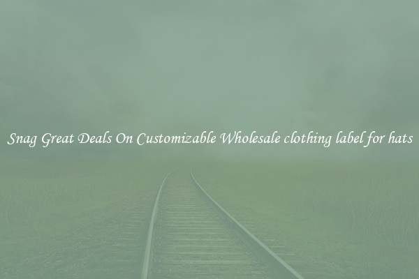 Snag Great Deals On Customizable Wholesale clothing label for hats