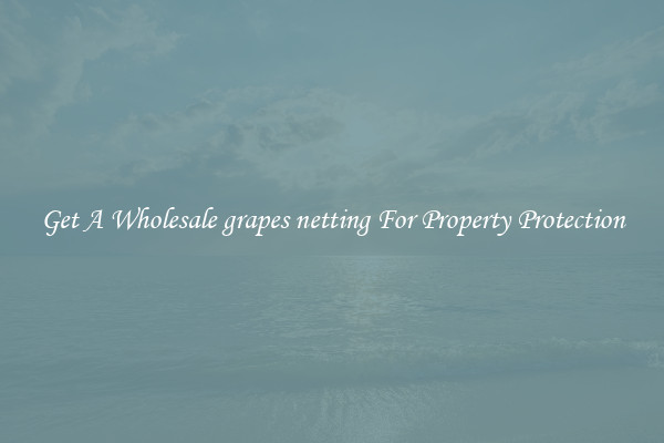 Get A Wholesale grapes netting For Property Protection