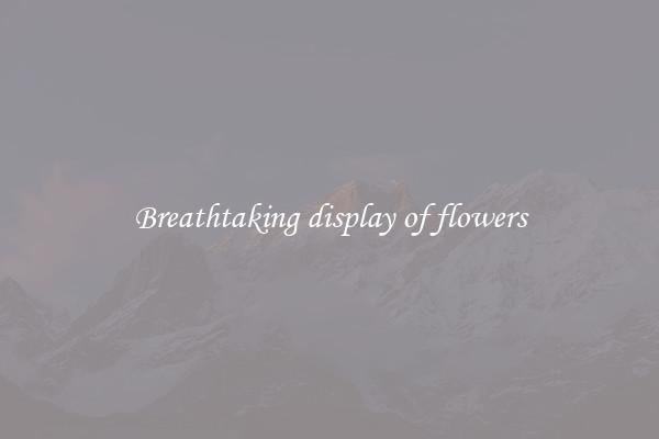 Breathtaking display of flowers