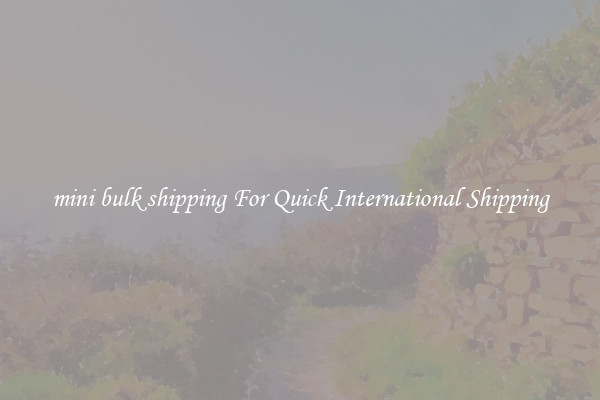 mini bulk shipping For Quick International Shipping