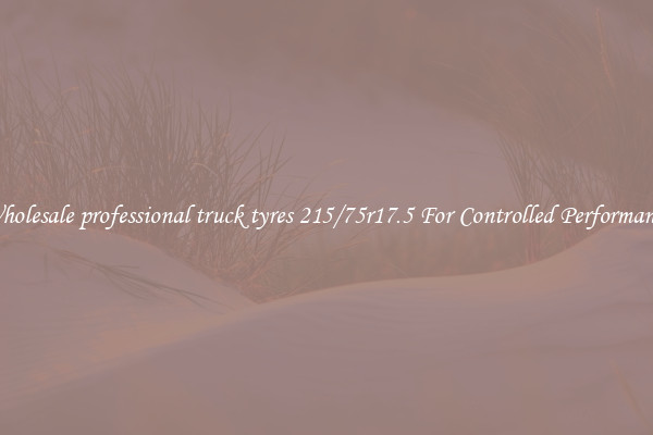 Wholesale professional truck tyres 215/75r17.5 For Controlled Performance