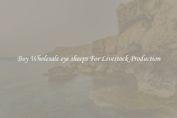 Buy Wholesale eye sheeps For Livestock Production