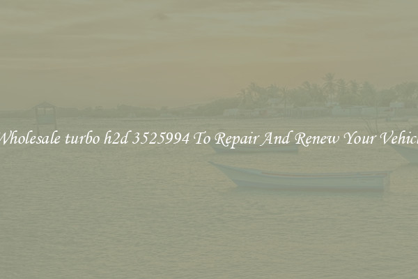 Wholesale turbo h2d 3525994 To Repair And Renew Your Vehicle