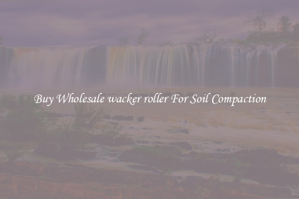 Buy Wholesale wacker roller For Soil Compaction