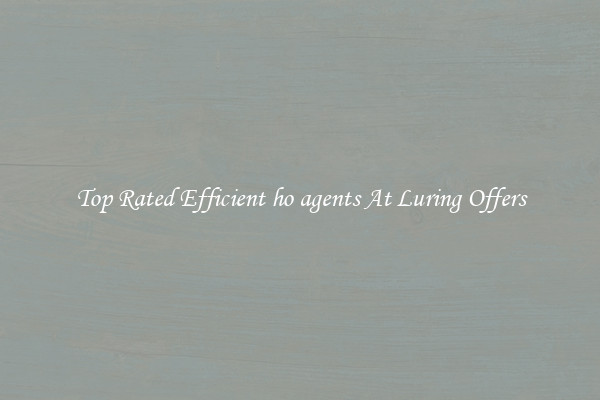 Top Rated Efficient ho agents At Luring Offers