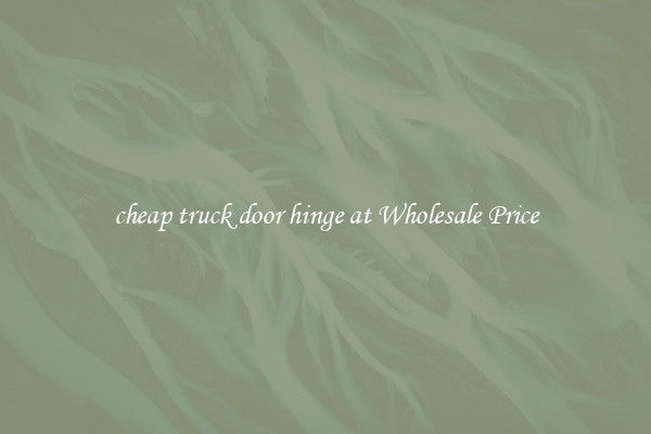 cheap truck door hinge at Wholesale Price