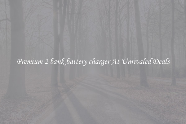 Premium 2 bank battery charger At Unrivaled Deals