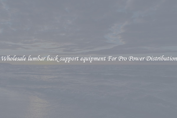 Wholesale lumbar back support equipment For Pro Power Distribution