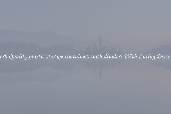Superb Quality plastic storage containers with dividers With Luring Discounts