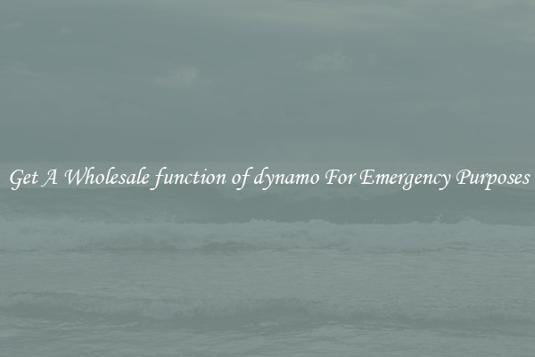 Get A Wholesale function of dynamo For Emergency Purposes