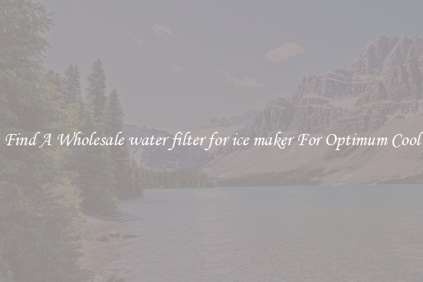 Find A Wholesale water filter for ice maker For Optimum Cool
