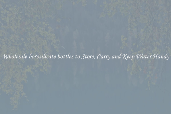 Wholesale borosilicate bottles to Store, Carry and Keep Water Handy