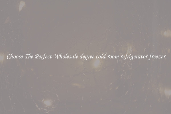 Choose The Perfect Wholesale degree cold room refrigerator freezer