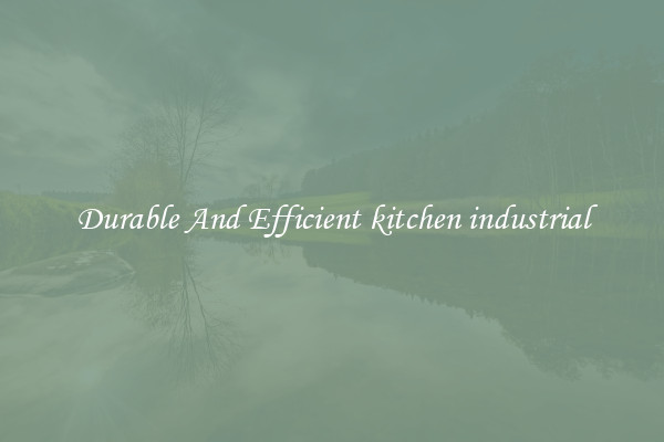 Durable And Efficient kitchen industrial