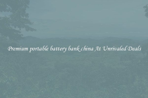 Premium portable battery bank china At Unrivaled Deals