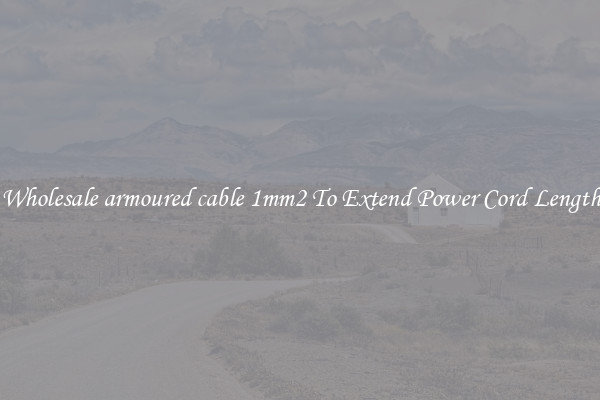 Wholesale armoured cable 1mm2 To Extend Power Cord Length