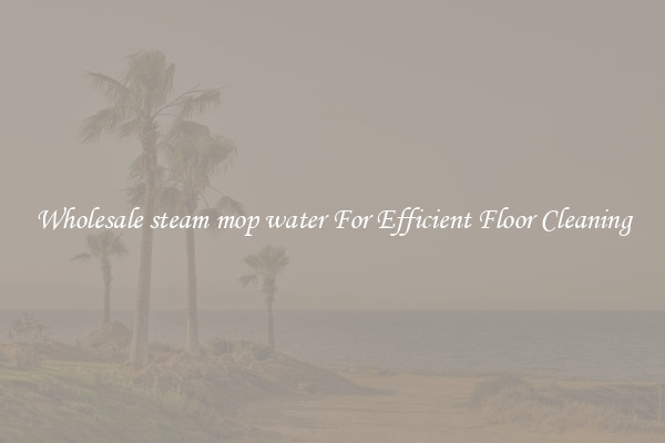 Wholesale steam mop water For Efficient Floor Cleaning