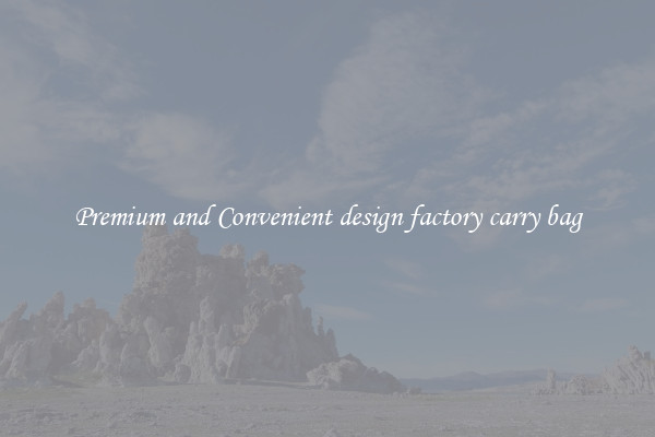 Premium and Convenient design factory carry bag